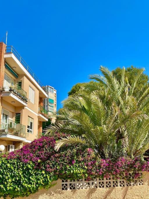 Apto Al Lado De La Playa, 1 Dormitorio, Parking Alicante