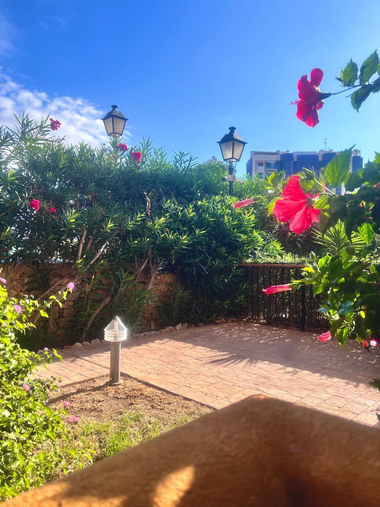 Apartamento Torrevieja 200m From Sea Punta Prima Alicante