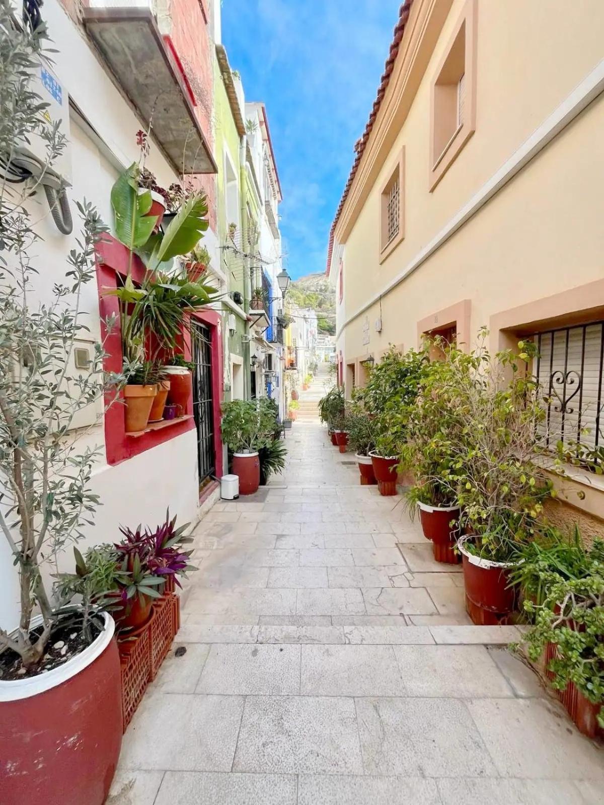 Apartamento En Casco Antiguo De *