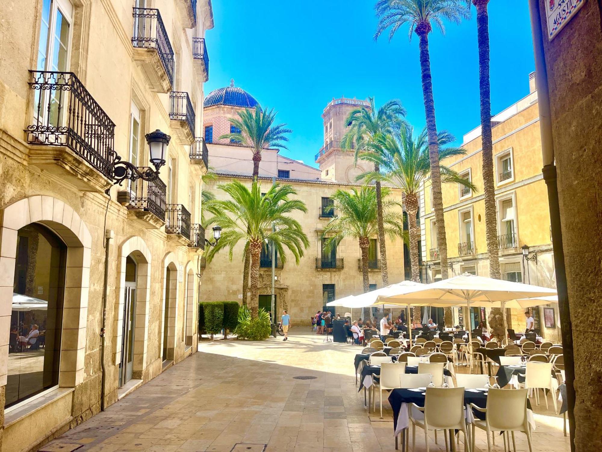 Santa Cruz By Gloove Alicante