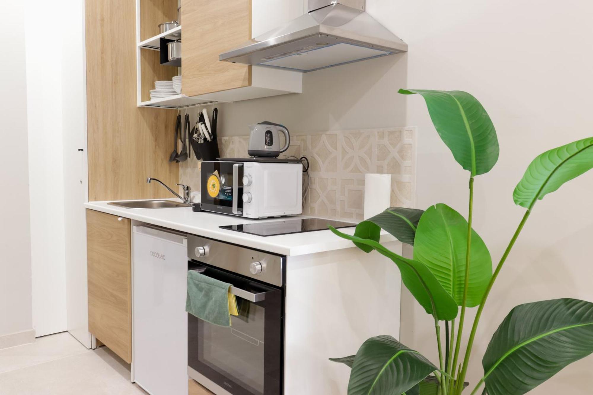 Apartment Noguera Loft 