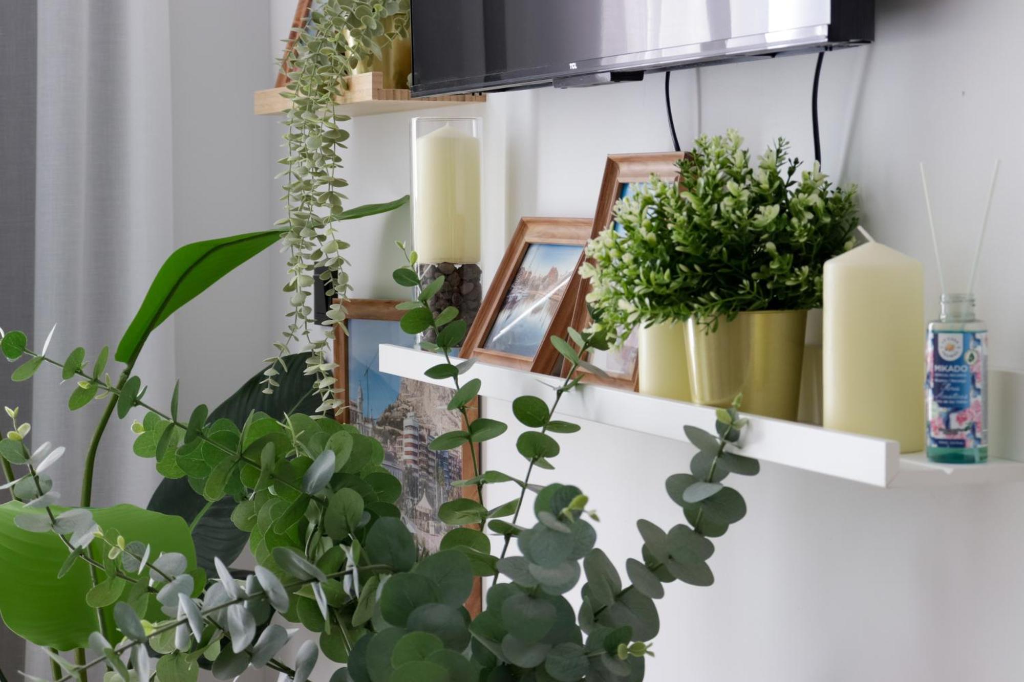 Noguera Loft 