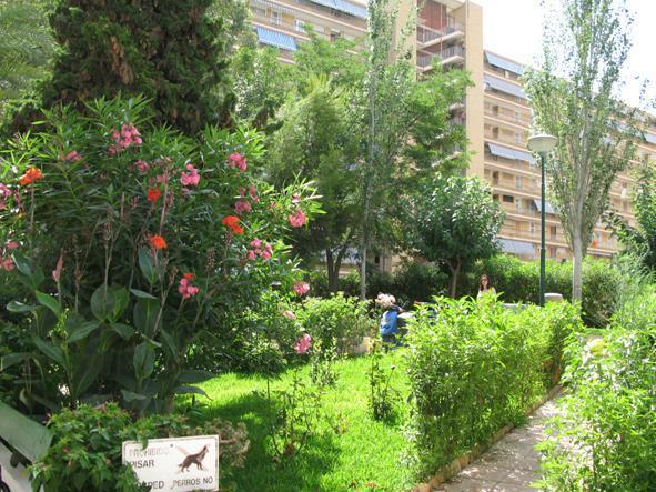 Apartamento Intur