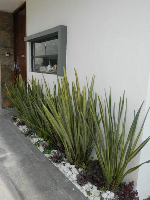 Apartamento Erita * Alicante