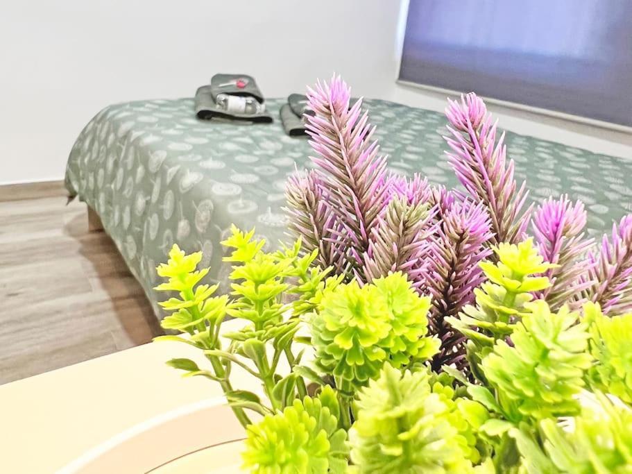Apartamento Reformado 3 Ac