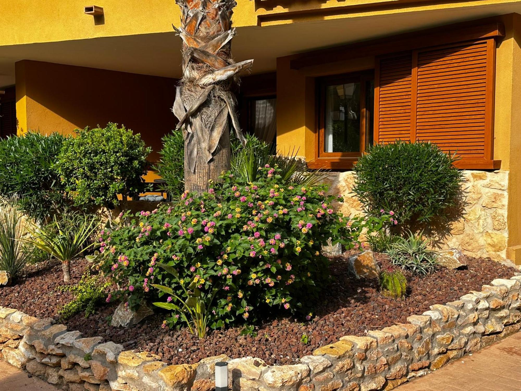 Apartamento Ground Floor Punta Prima Looking At The Pool