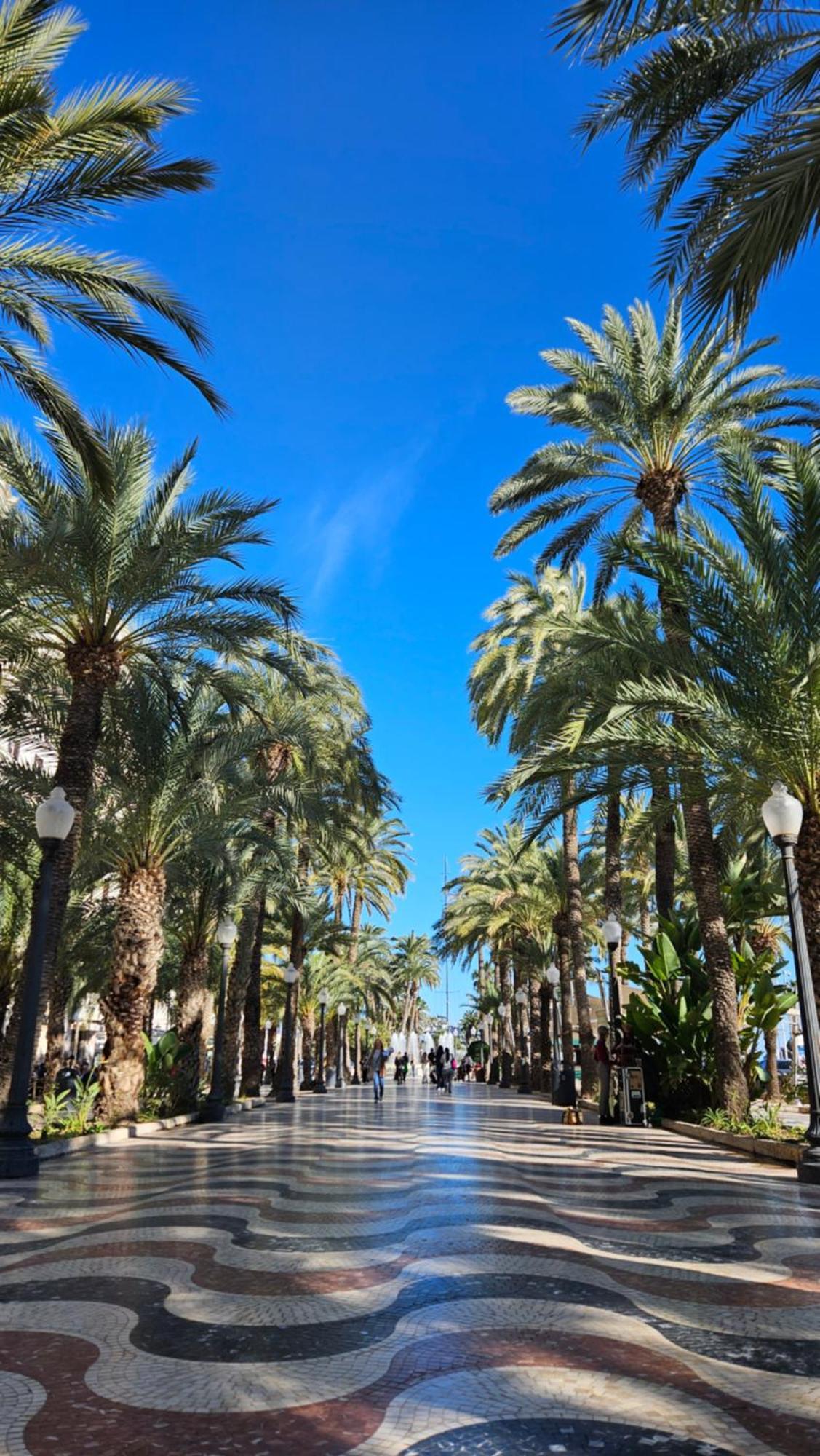 Apartamento Your In Alicante