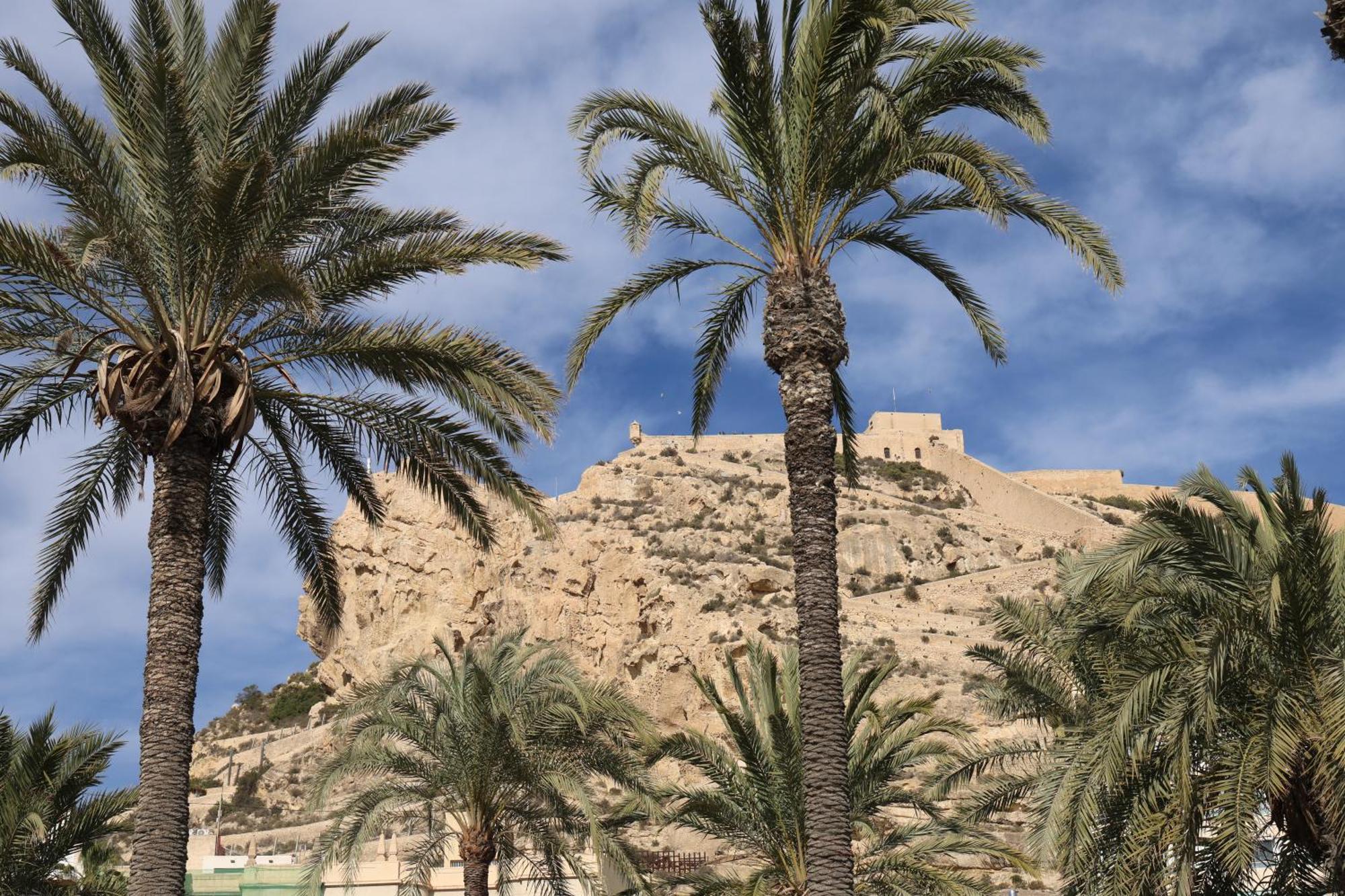 Homestay Alicantan Vital Experience Alicante