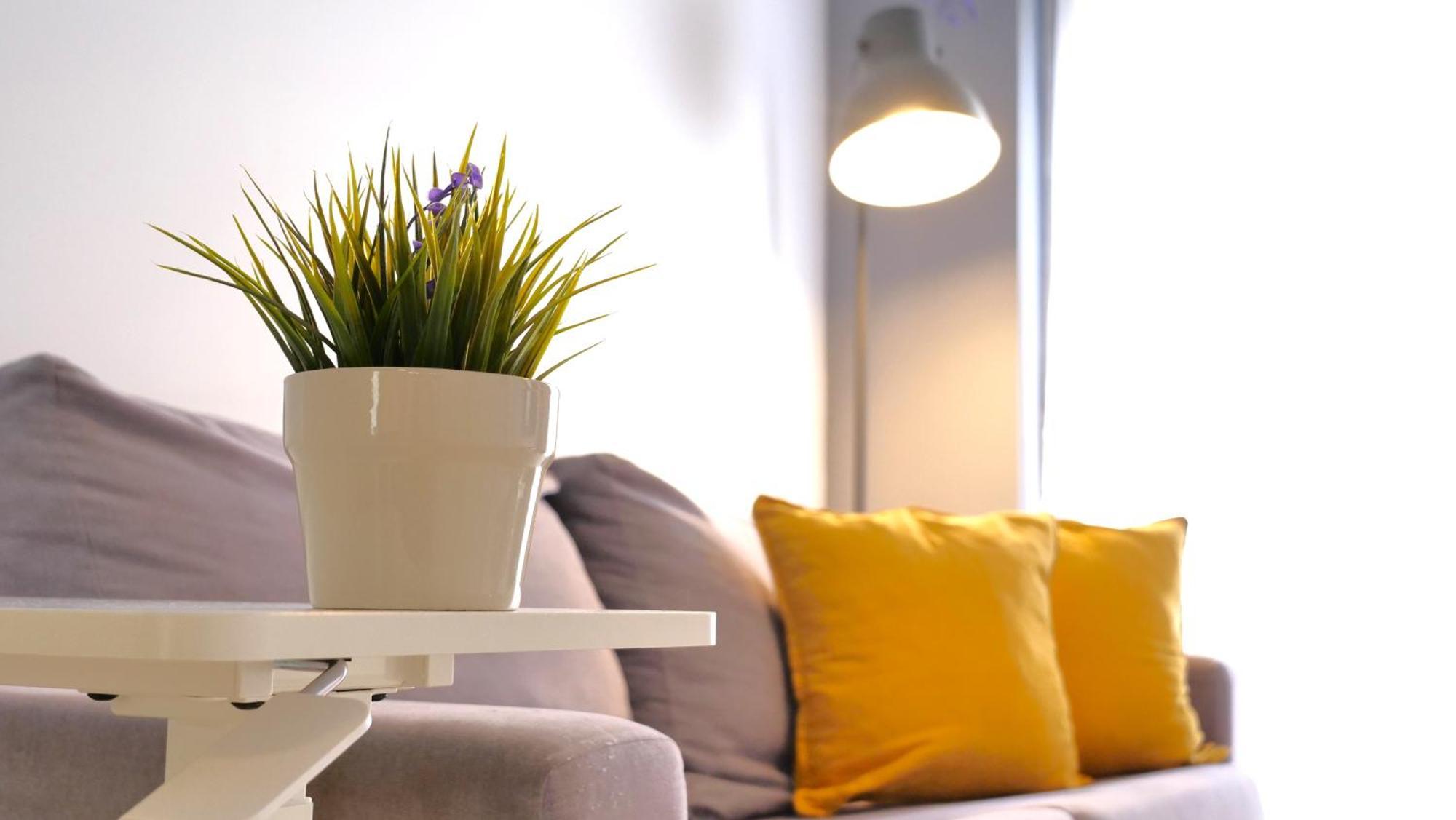 Apartamento San Roque