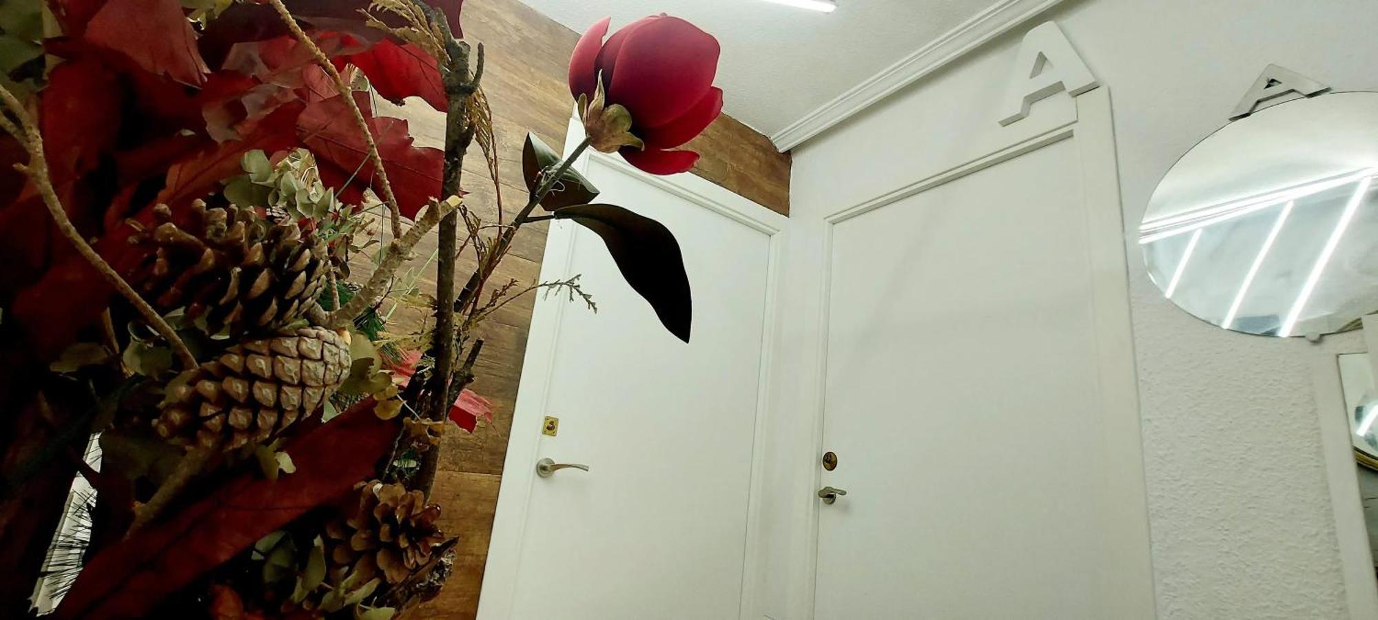 Apartamento Modern In Alacant 60m² Wheelchair Accessible Alicante
