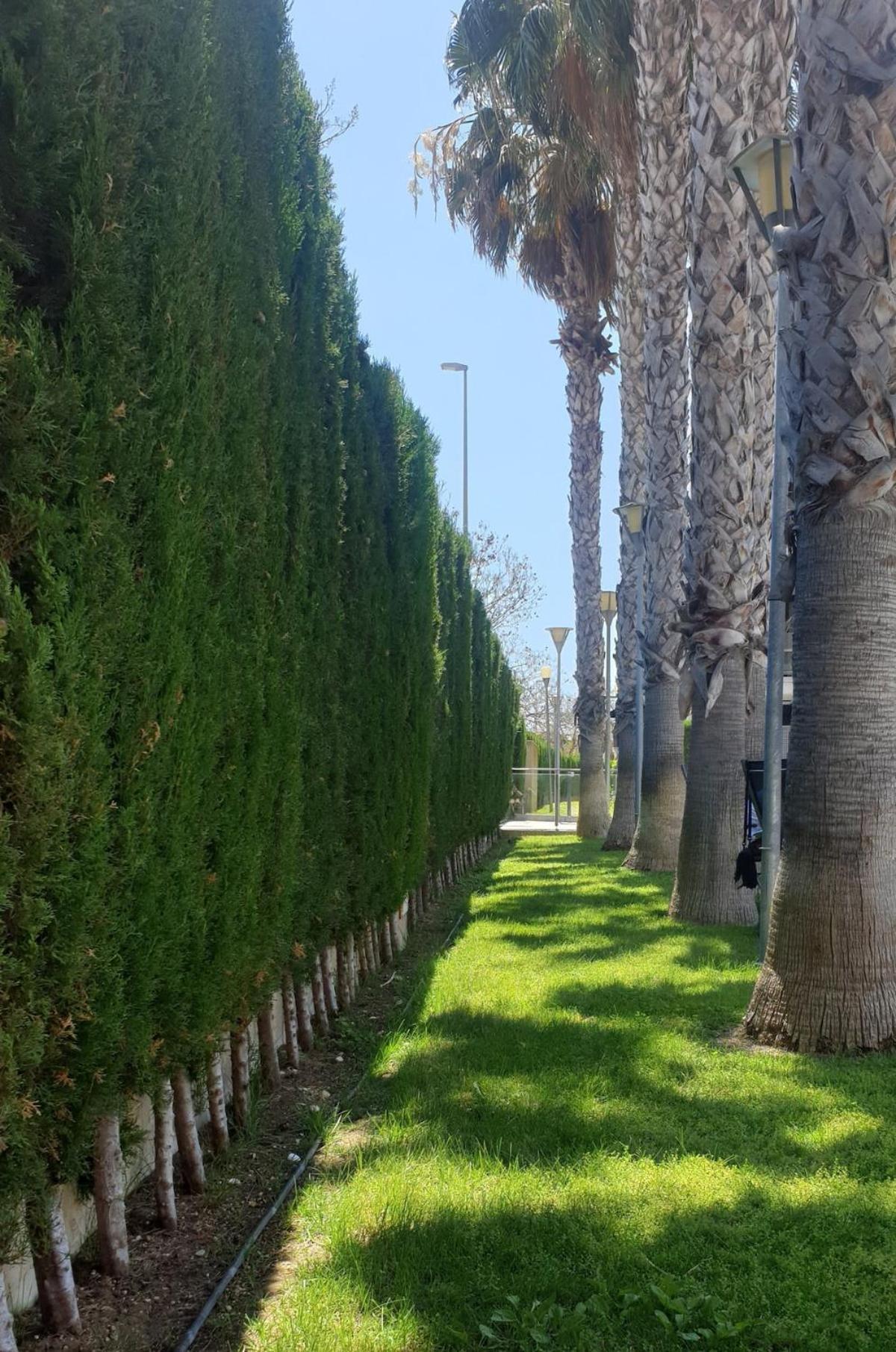 Cerca De La Playa En El Campello, Playa Muchavista Alicante Apartamento *