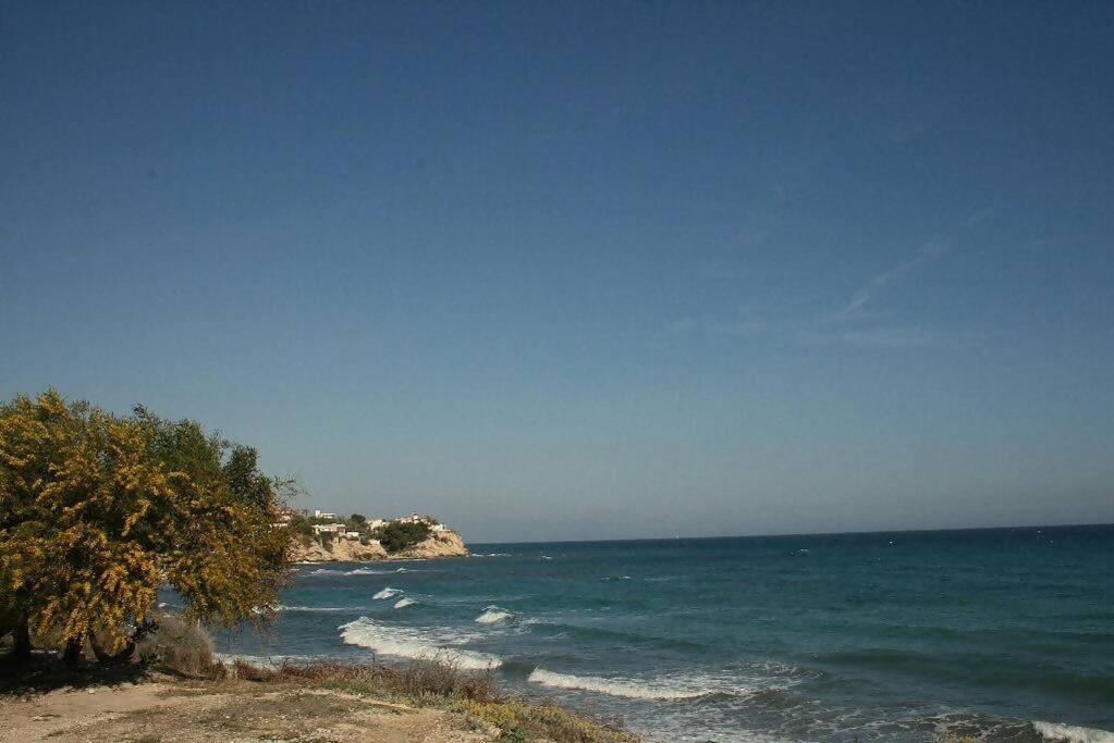 Alkabir Townhouse El Campello Holiday home *