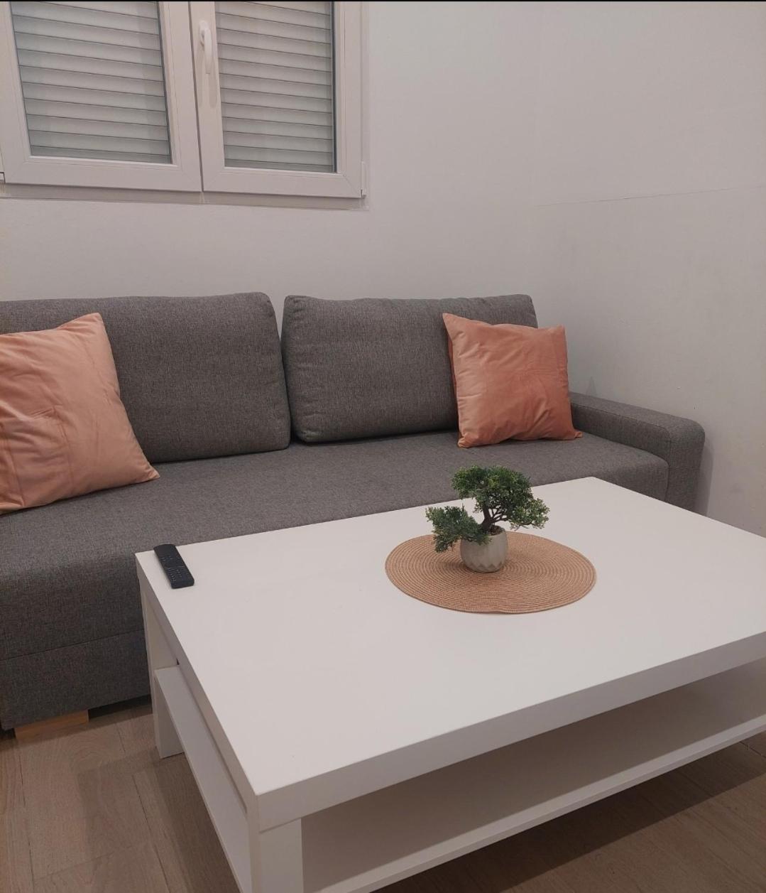 Cactus22 Apartment
