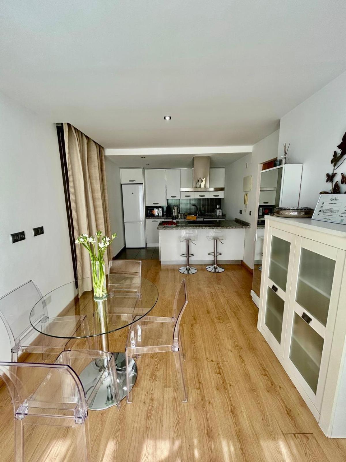 2 Big Terraces Penthouse Center Apartment Alicante