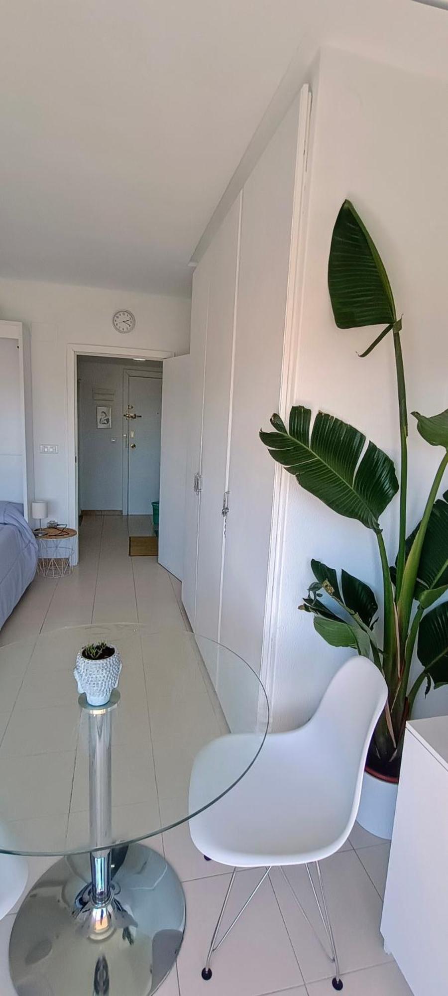 Apartamento Estudio Centro Alicante