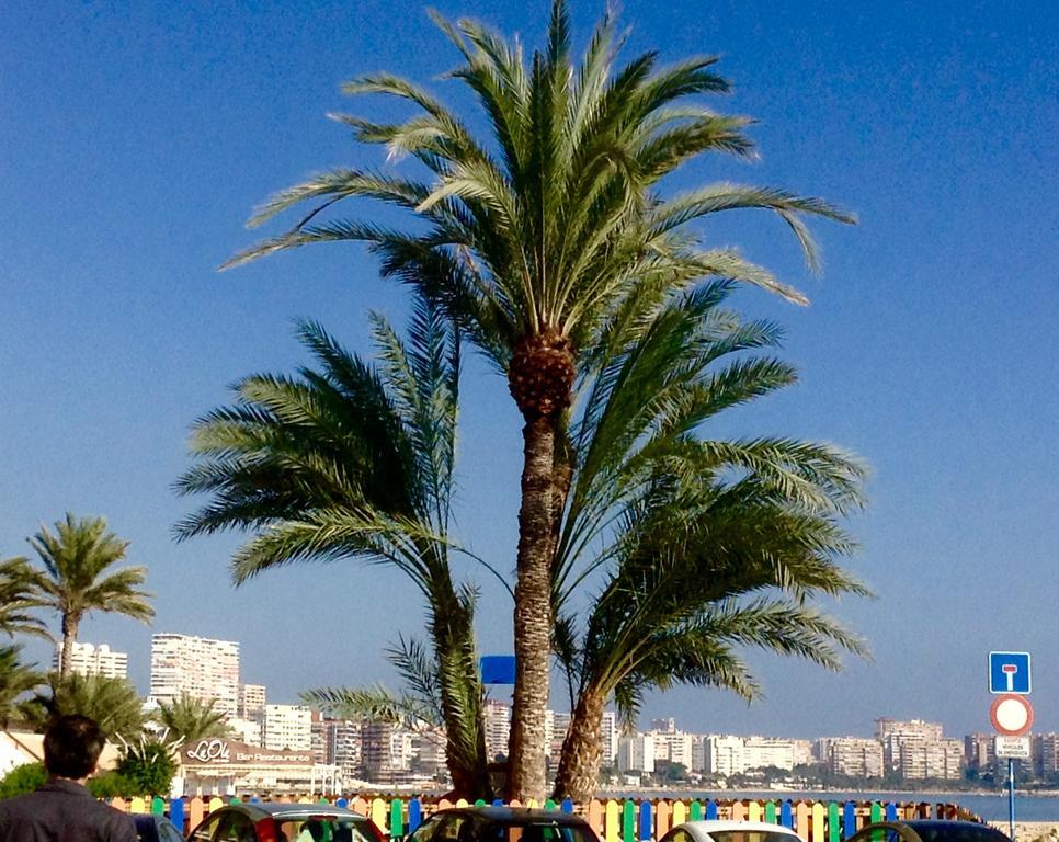 Apartment Torre Alacant Alicante