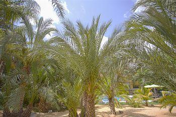 El Palmeral De Madaria *