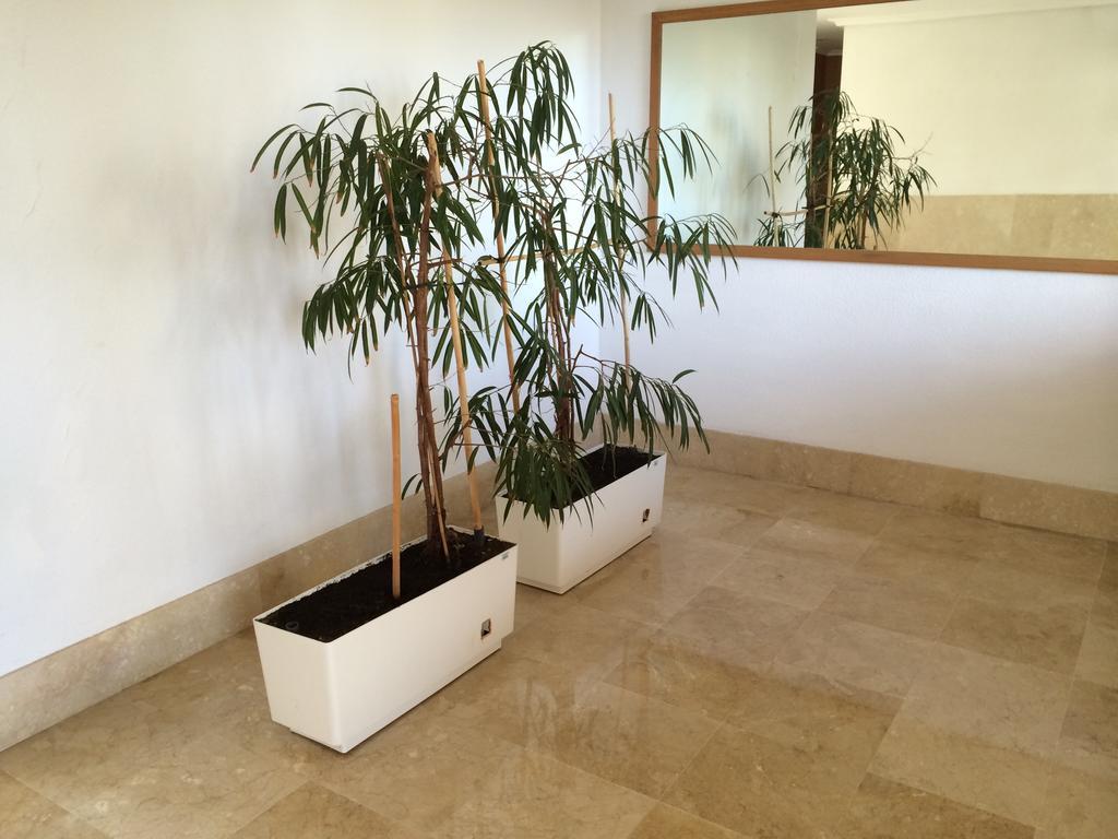 Bulevar Golf Alicante
