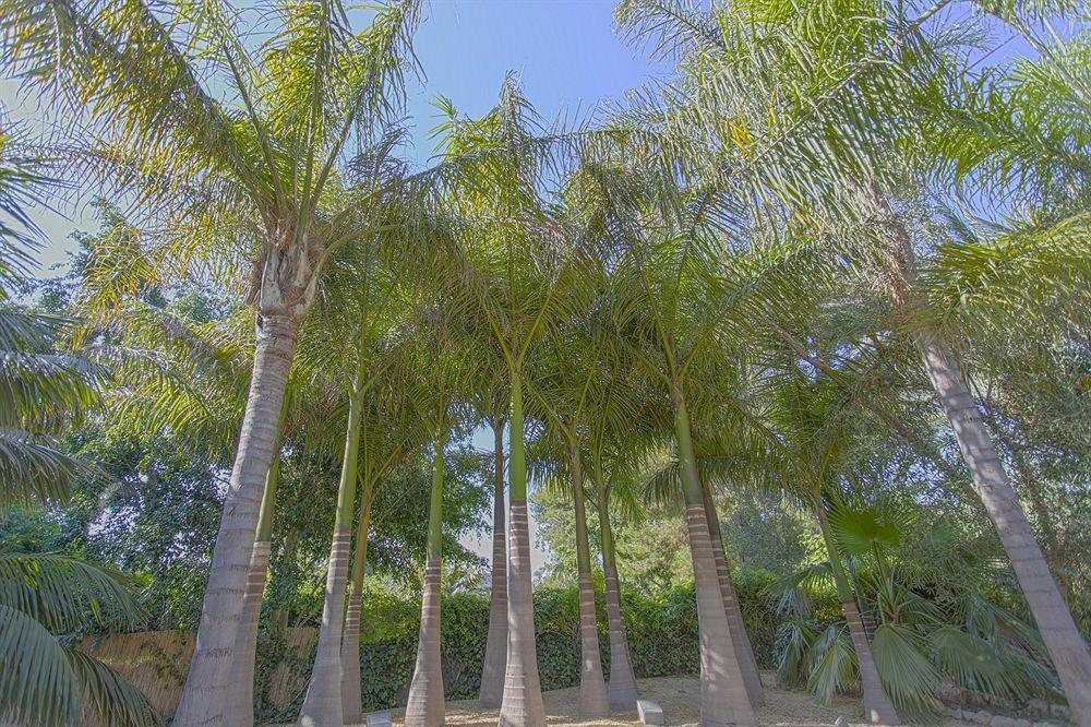 Apartment El Palmeral De Madaria