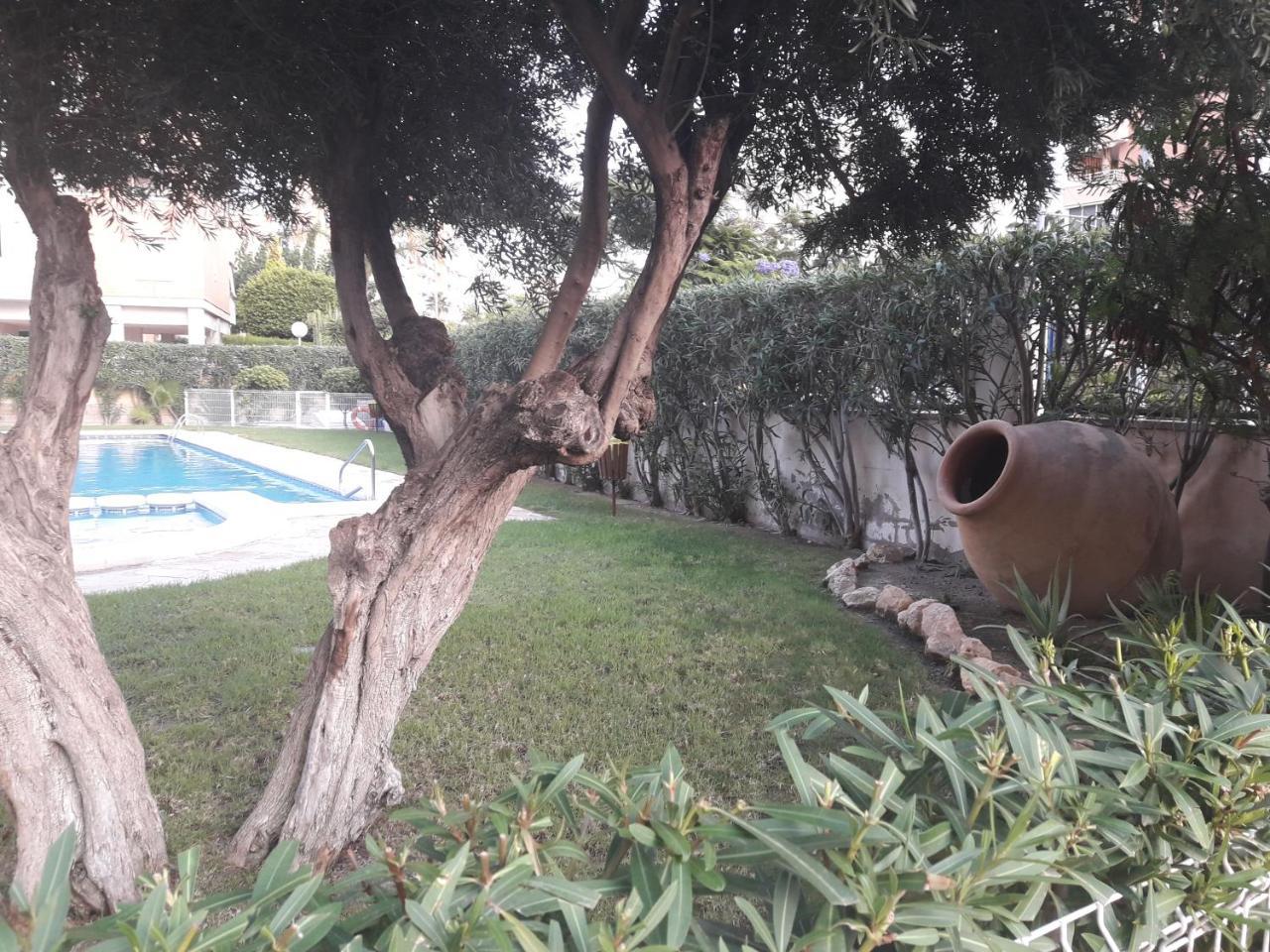 Apartment Torre San Jordi *