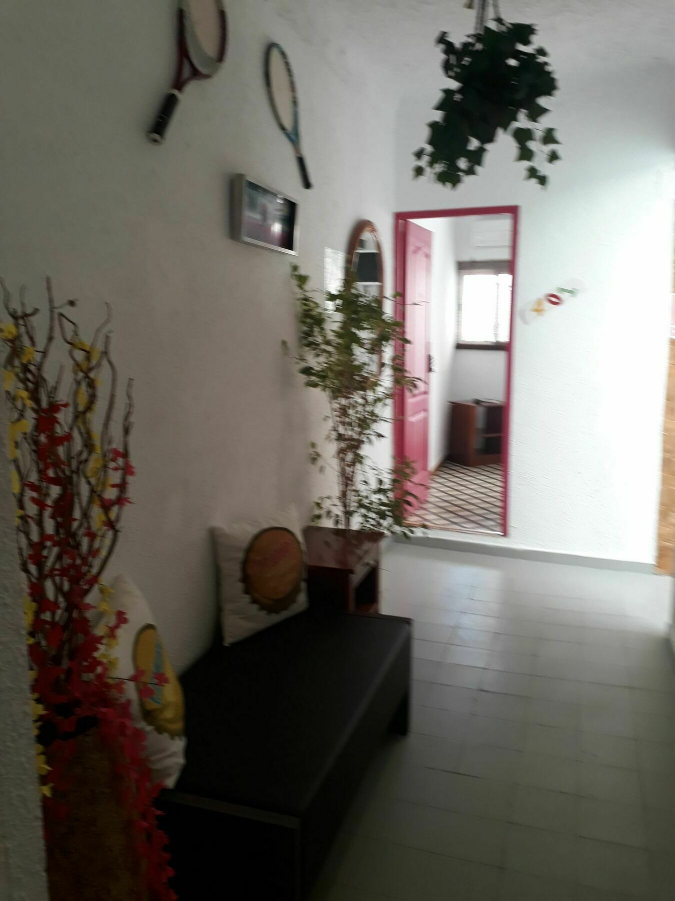 Mayor Hostal