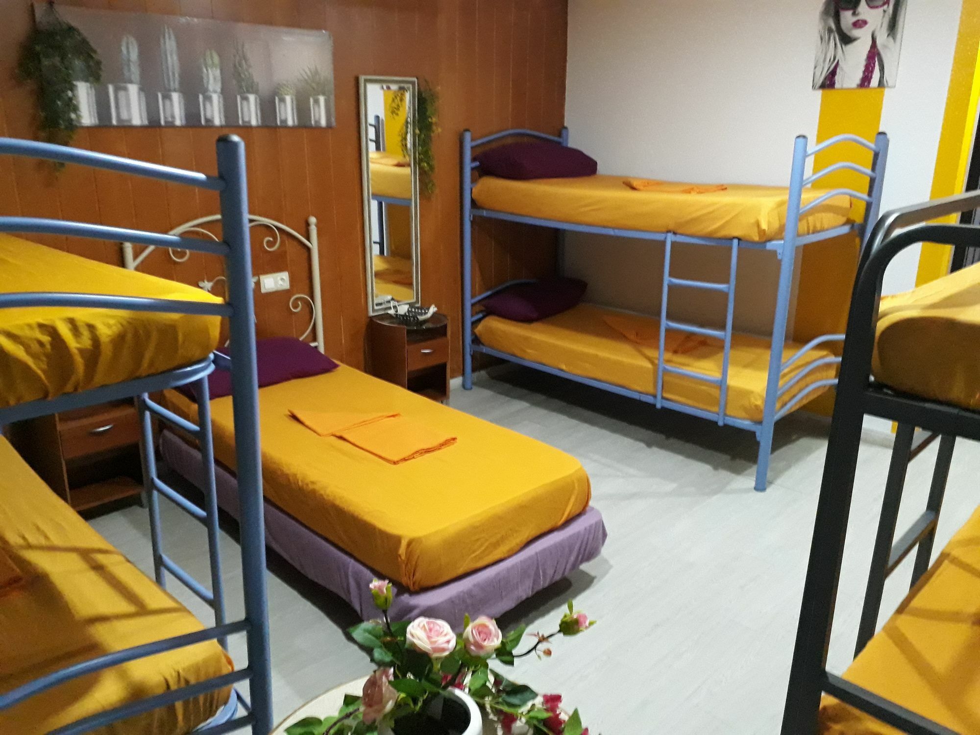 Hostal Mayor *