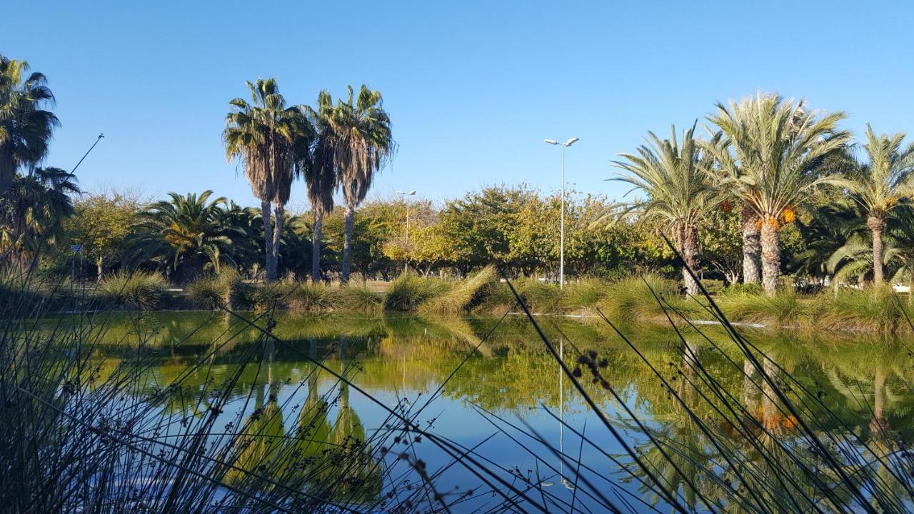 Apartamento Sol Y Playa En San Juan Alicante