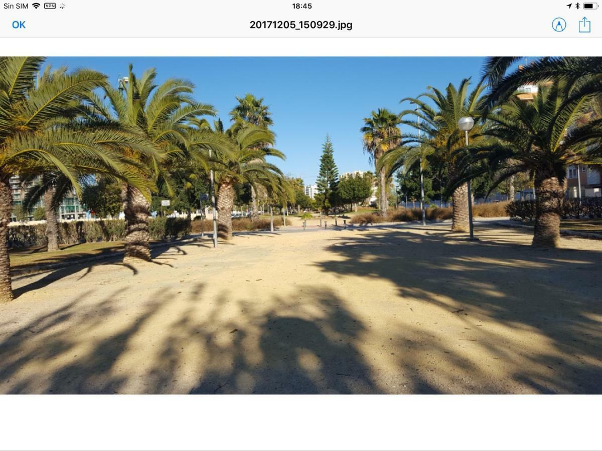 Sol Y Playa En San Juan Alicante