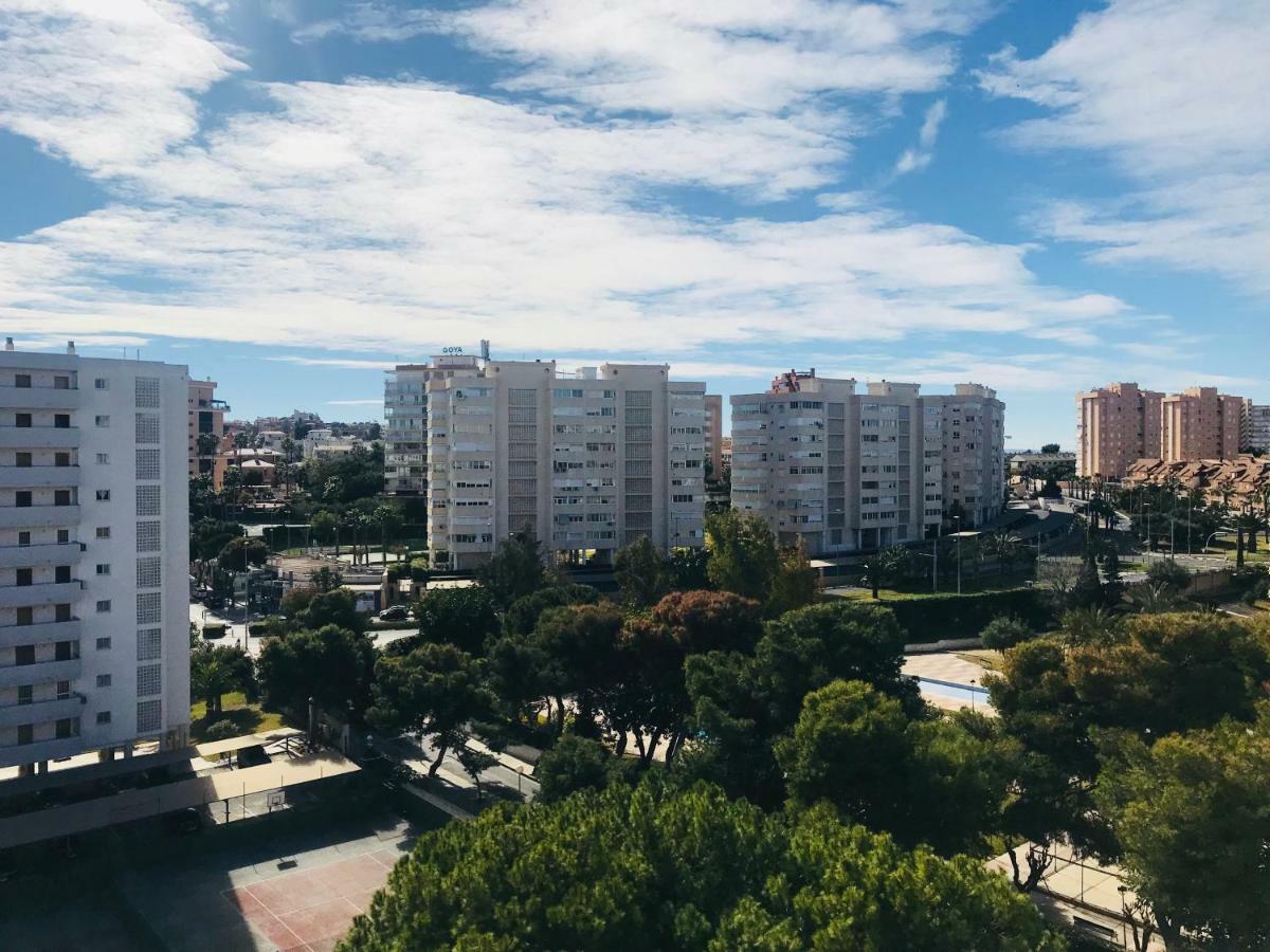 Mediodia * Alicante
