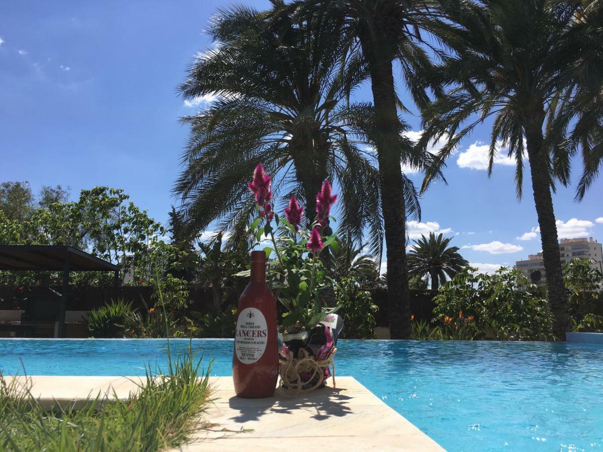Apartamento Parkview Near Beach