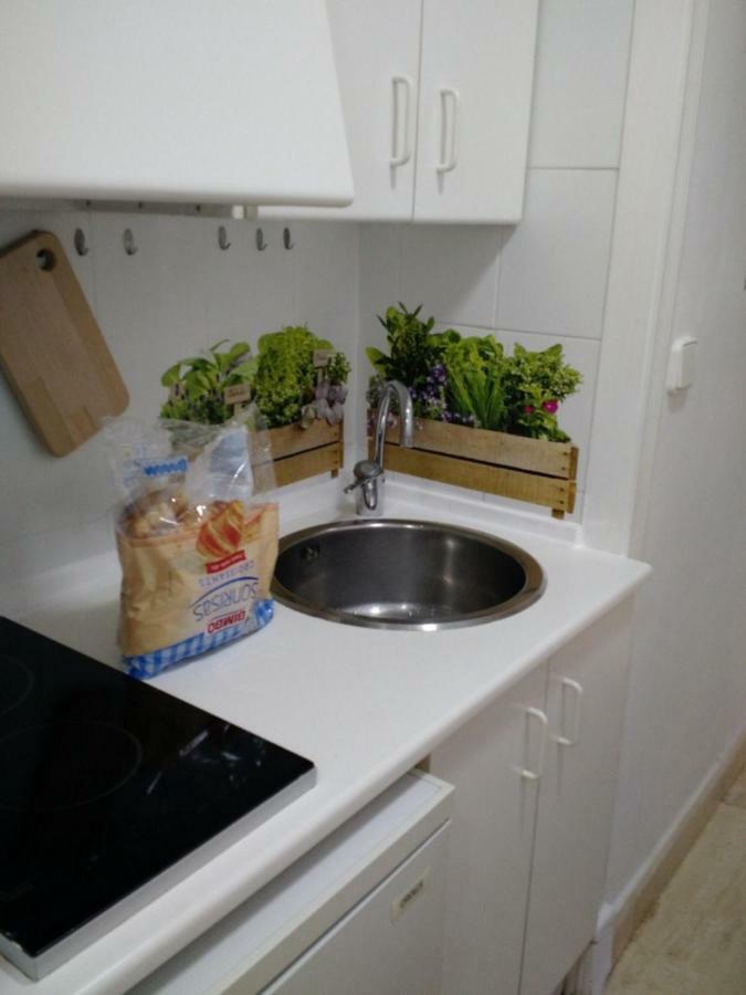 Loft Pasarela Apartment Alicante