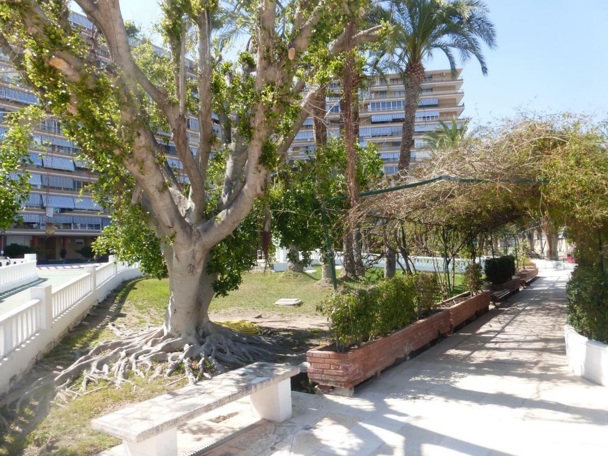 Family And Friends - San Juan Playa Apartamento Alicante