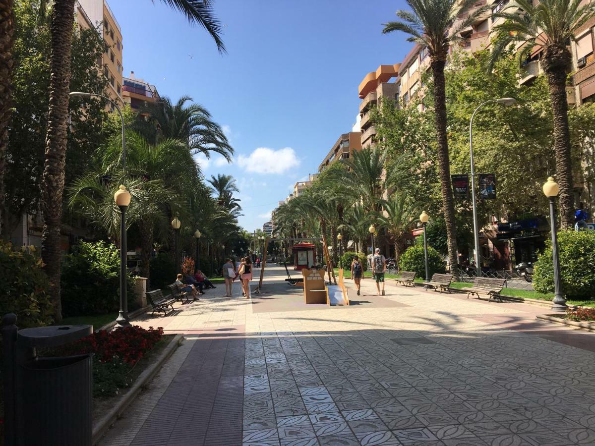 Center * Alicante