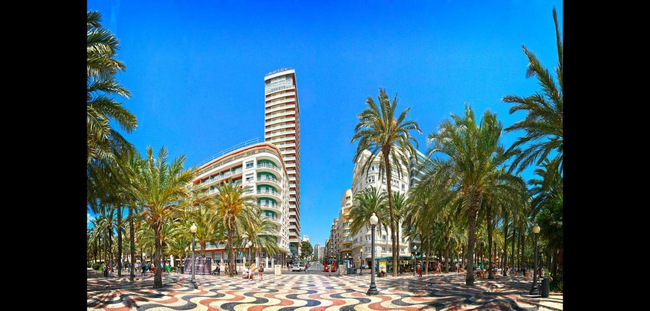 Evolution Alicante