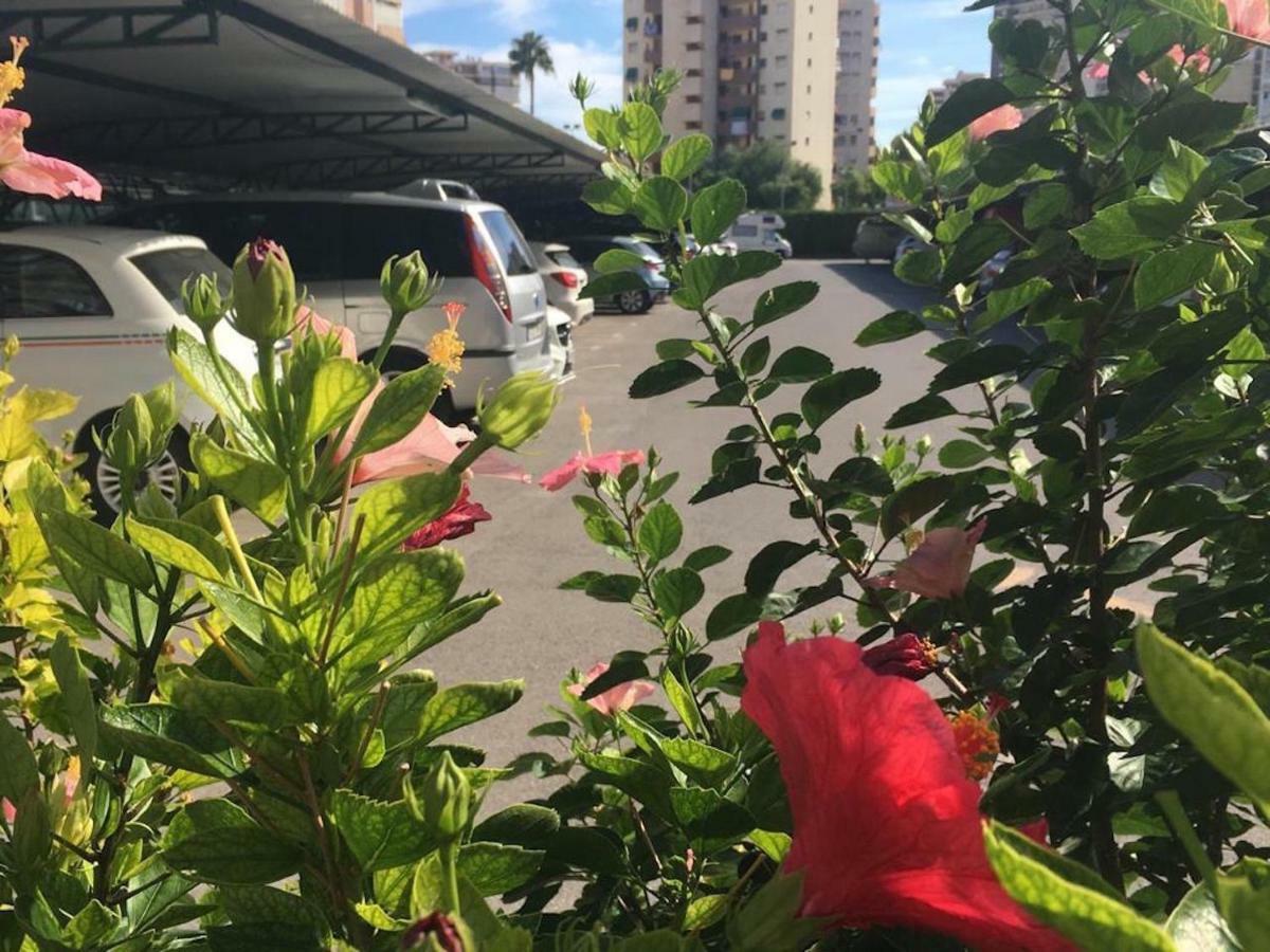 Apartamento Family And Friends - San Juan Playa *