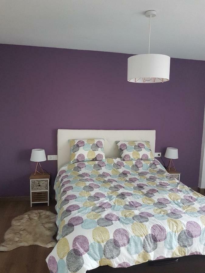 Your Perfect Carivoguest Apartamento