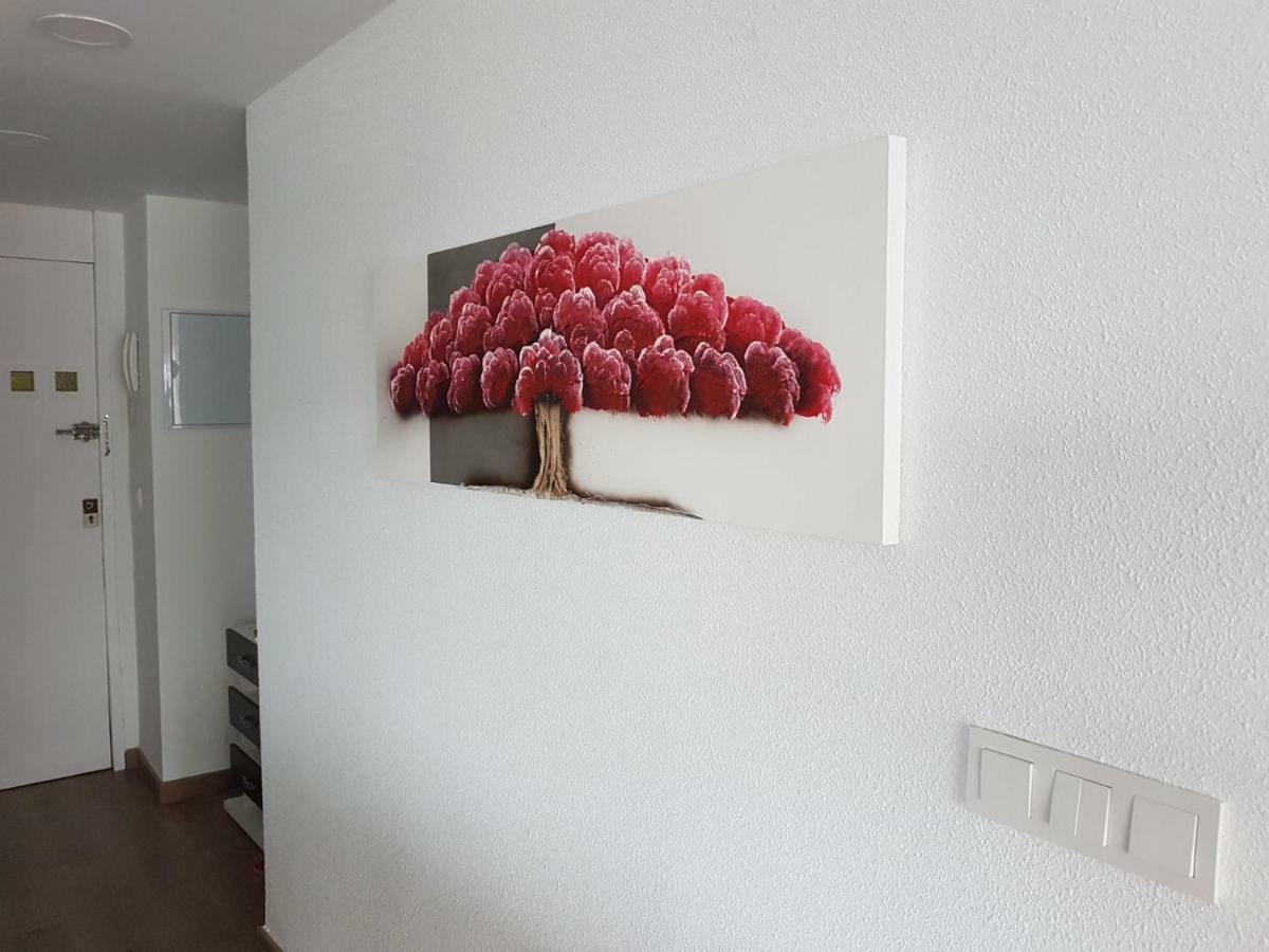 Your Perfect Carivoguest Apartamento Alicante