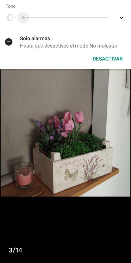 Centrica - Only Women Homestay Alicante
