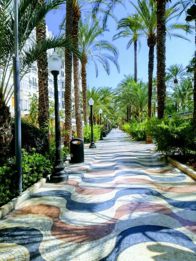Centrica - Only Women Homestay Alicante
