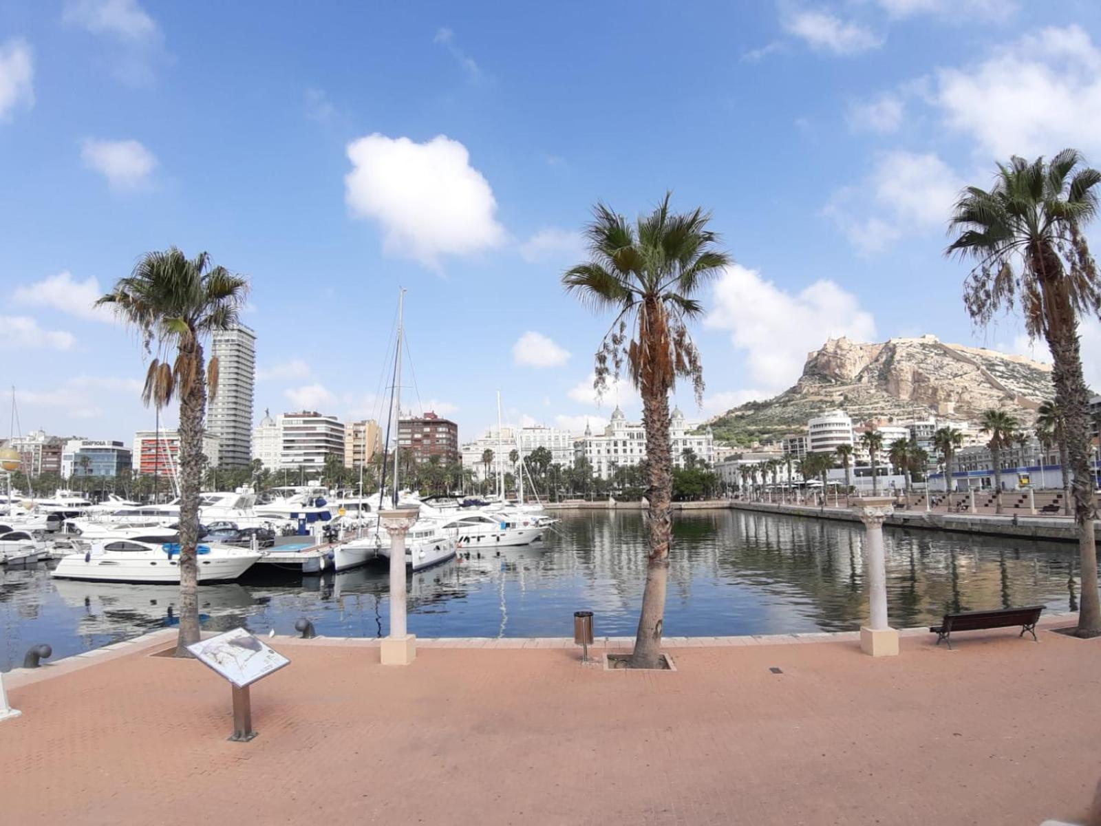 Apartamento Grande-centro Barrio Playa Alicante