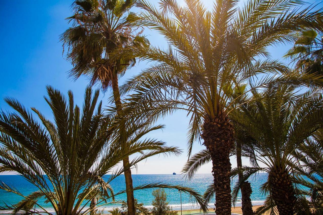 Apartamento Near The Alicante