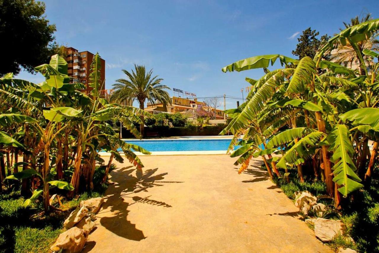 New Tridente Apartment