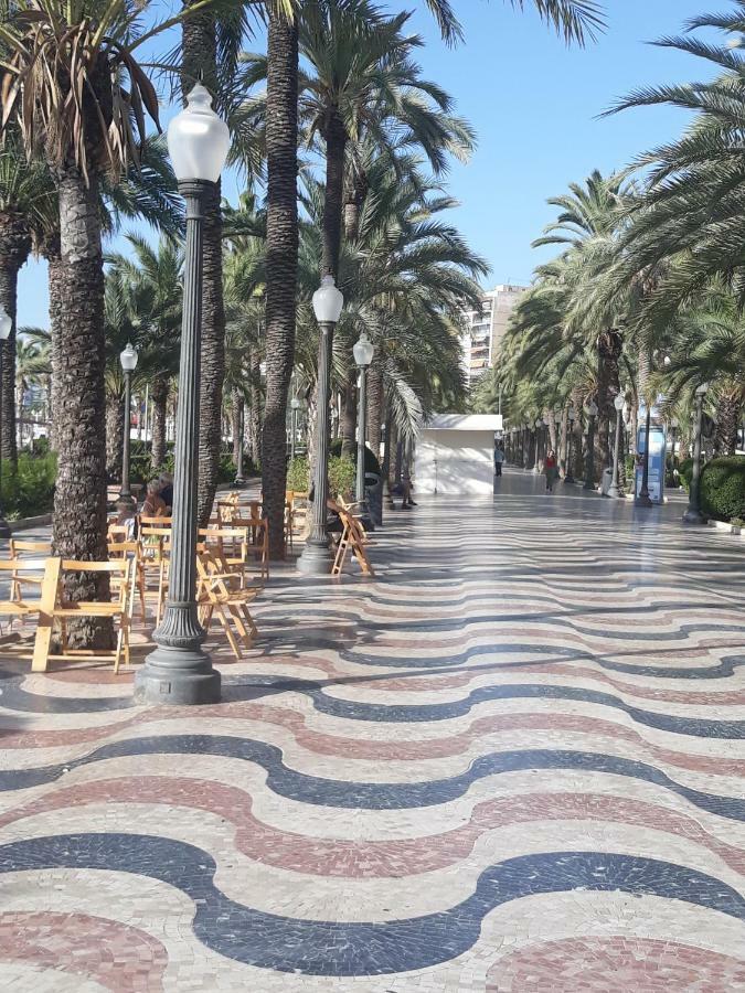 Guest house Mexico Alicante