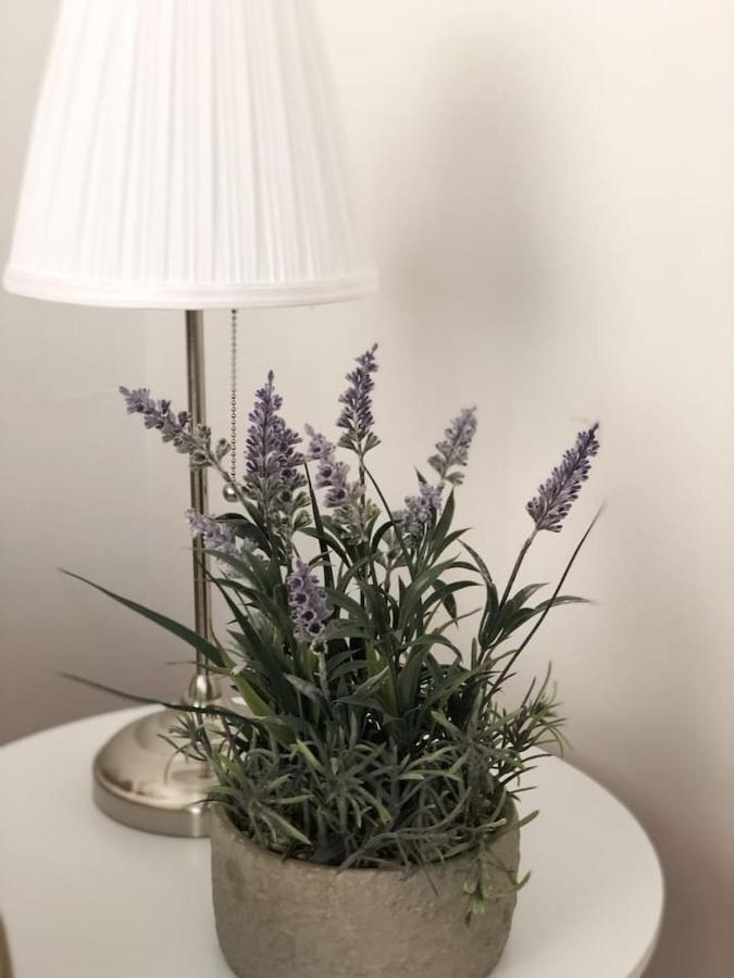 Apartamento 41 Calle Espronceda Alicante