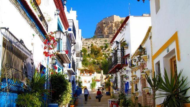 Centrico Y Espacioso Piso En Barrio Tranquilo Apartment Alicante