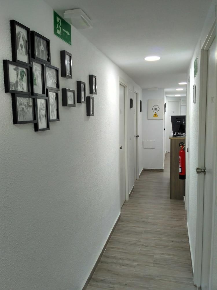 Guest house Guesthouse Central