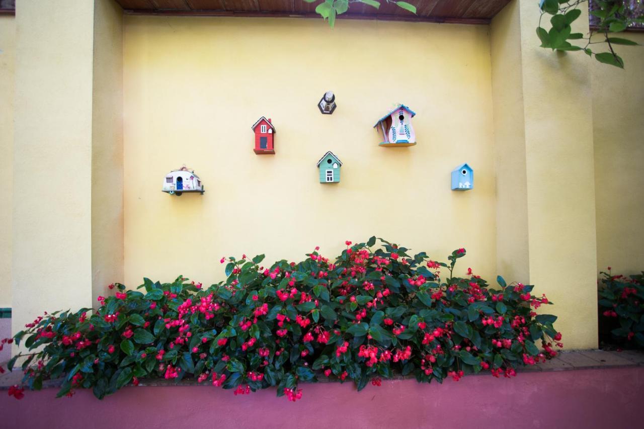 El Palmeral De Madaria Alicante