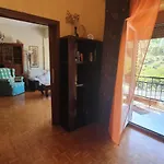 Apartamento Con Encanto Junto Al Postiguet Y Castillo