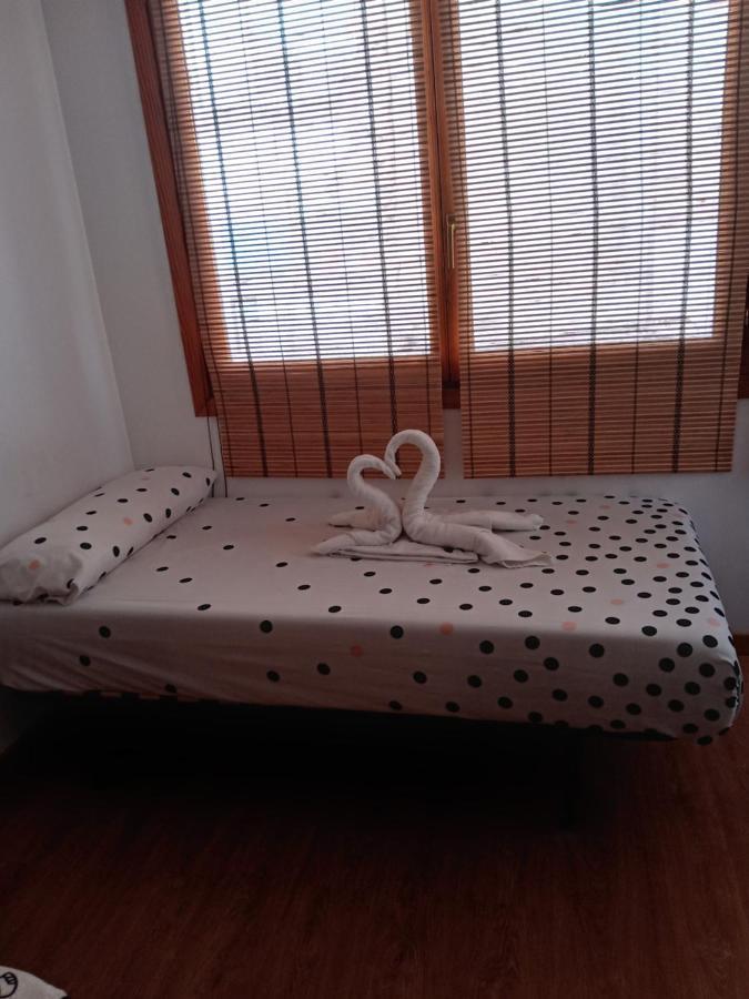 Pensión Casa Brava