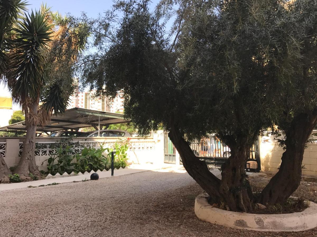 Apartamento En La Playa - Alicante, Costa Blanca - Olivos *